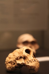 mpiEVA01